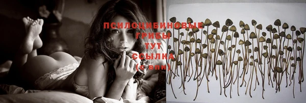 метадон Нея
