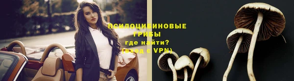 винт Нефтекумск