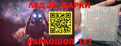 индика Обнинск