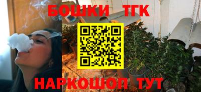 индика Обнинск
