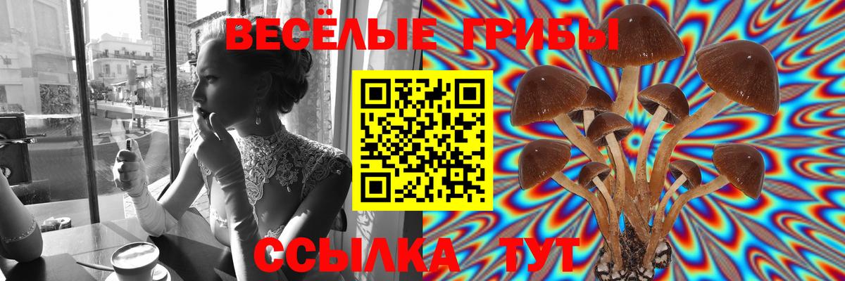 Иркутск  Псилоцибиновые грибы Cubensis  Вход с VPN 